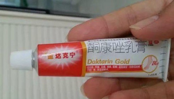 多肉|“达克宁”养花有奇效杀菌不烂根,安全度夏,多肉爆盆,花朵艳