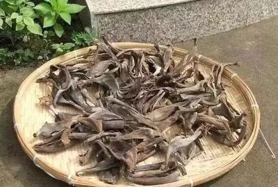 根系|每家都有的3种“钾肥”,给花盆浇一点,养根、又促果