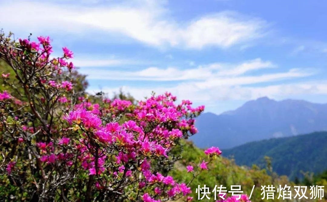 三杯酒#朱敦儒年近百岁，写下一首西江月，让人有一种“大彻大悟”的感觉