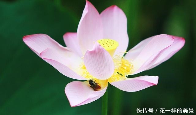 总静|为什么人心总静不下来按照王阳明的这3句话去做,让你平心静气