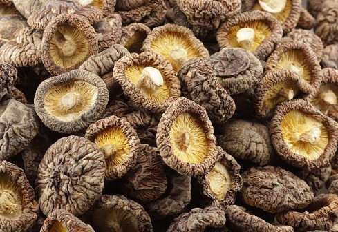 食用|香菇和它是天生的“敌人”,不能一起食用,可惜知道的人太少了!