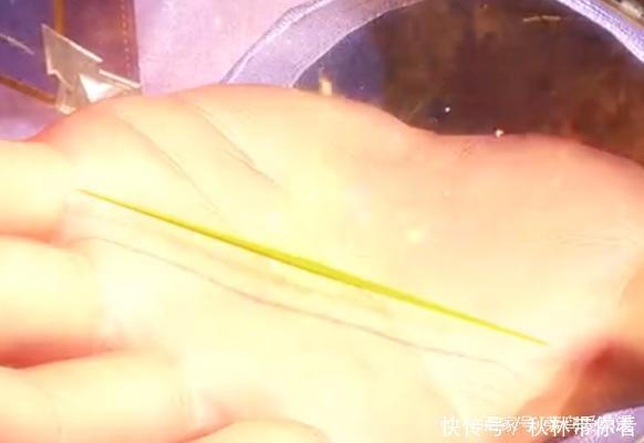 二十四桥明月夜|斗罗大陆:三大高超的暗器施展手法,最后一个媲美神技
