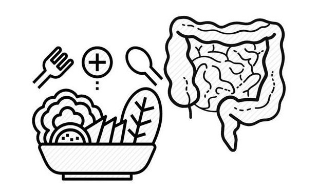 消化|清洁肠道的“救星”被发现,若你爱吃,有助消化，还能给肠道洗洗澡