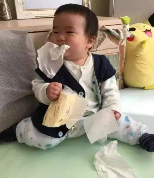 熊孩子|“亲生的,没办法退货了”,熊孩子捣乱的一组图走红,养个娃真难