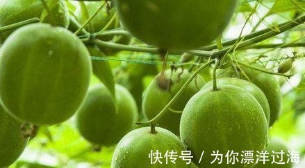 癌症|医生透漏它是最廉价的“抗癌王”,3块钱一个,常吃远离癌症!