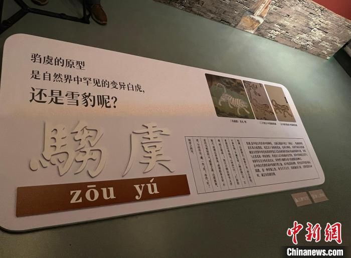 标本|“清宫兽谱”展在上海自然博物馆开幕 以自然科学视角看“神兽”