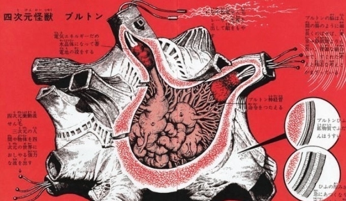 金谷桥|奥特曼怪兽身体构造图被公开,金谷桥长这样,布鲁斯设定被揭晓