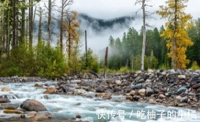 这首诗|崔涂的一首哲理诗，寥寥数语，却蕴含深刻，令人赞赏不已