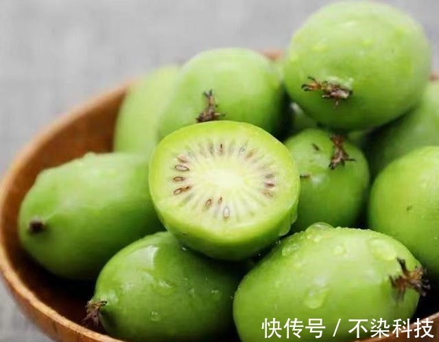 柠檬靠边站,它们是维C之王,好吃价值高,打理还简单,一起看看!