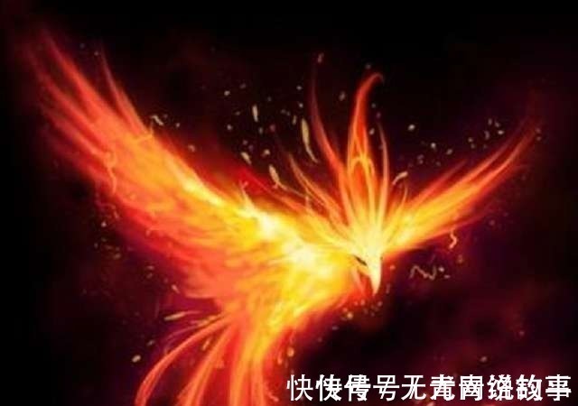 玄武#上古十大神兽排行榜:毕方第9,腾蛇第6,前4大家都认识?