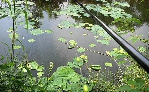 冬天还用“调四钓二”?高手都在用这个钓法了,还是它靠谱!