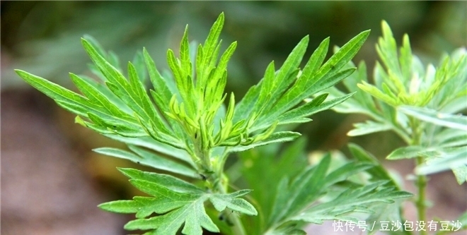 老中医：冬天晚上泡脚好处多，这样泡脚，祛湿效果翻倍！