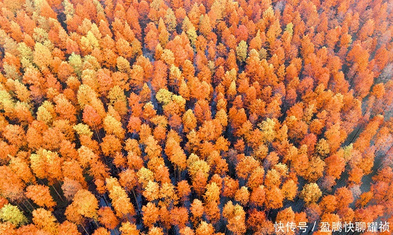 梦境|走进初冬的太子山，如同走进一场美丽的梦境