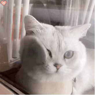 |搞笑图集:一个宿舍42个学生,网友:养猪都不敢这么养啊