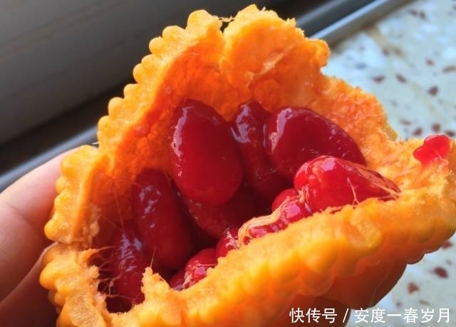 甜蜜|据说它是苦瓜的亲戚,却比苦瓜美味甜蜜得多!