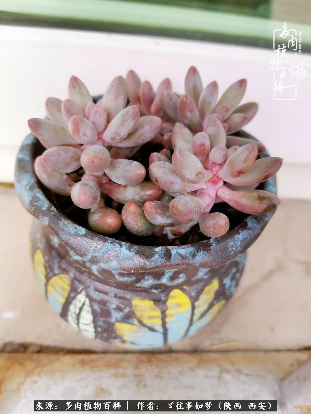 愿你付出甘之如饴，愿你所得归于欢喜！