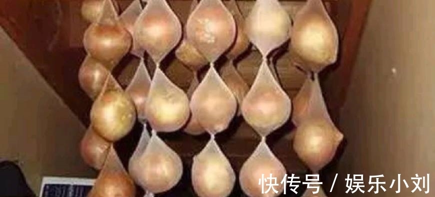 西红柿|10种常见食物的保存保鲜：活鱼离水也能活3小时