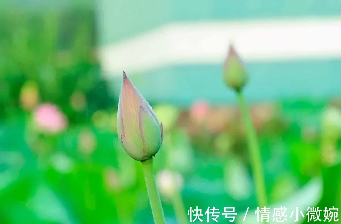 切莫&生活与妙招:18个有趣又聪明的小妙招,摆脱孩子带给你的烦恼