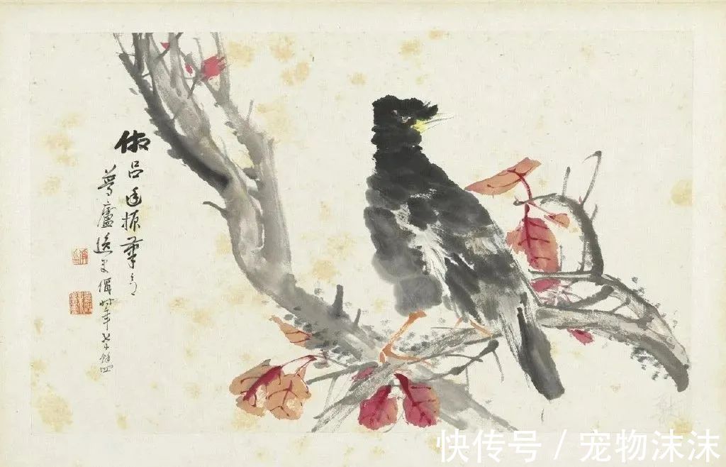 鹧鸪天·西都作|这10句“酷到爆”的诗词,句句豪情,读来心情大好