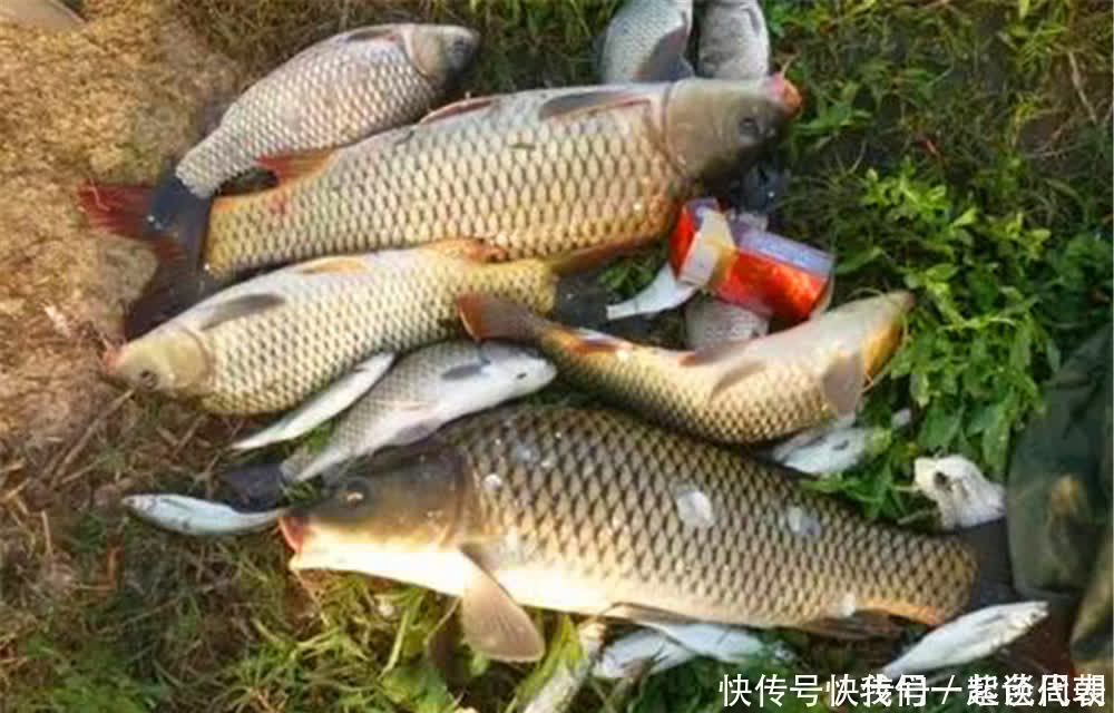 底钓大鱼,用这种调漂方法,这是钓大鱼的“专属”调漂方法!