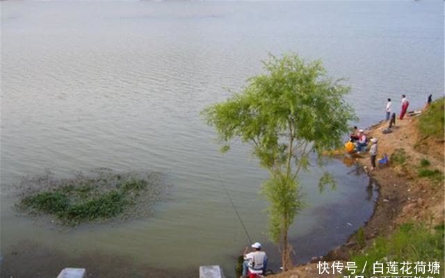 位置|夏季野钓选钓位:哪些位置有鱼未必准确,不过这些位置一定没鱼