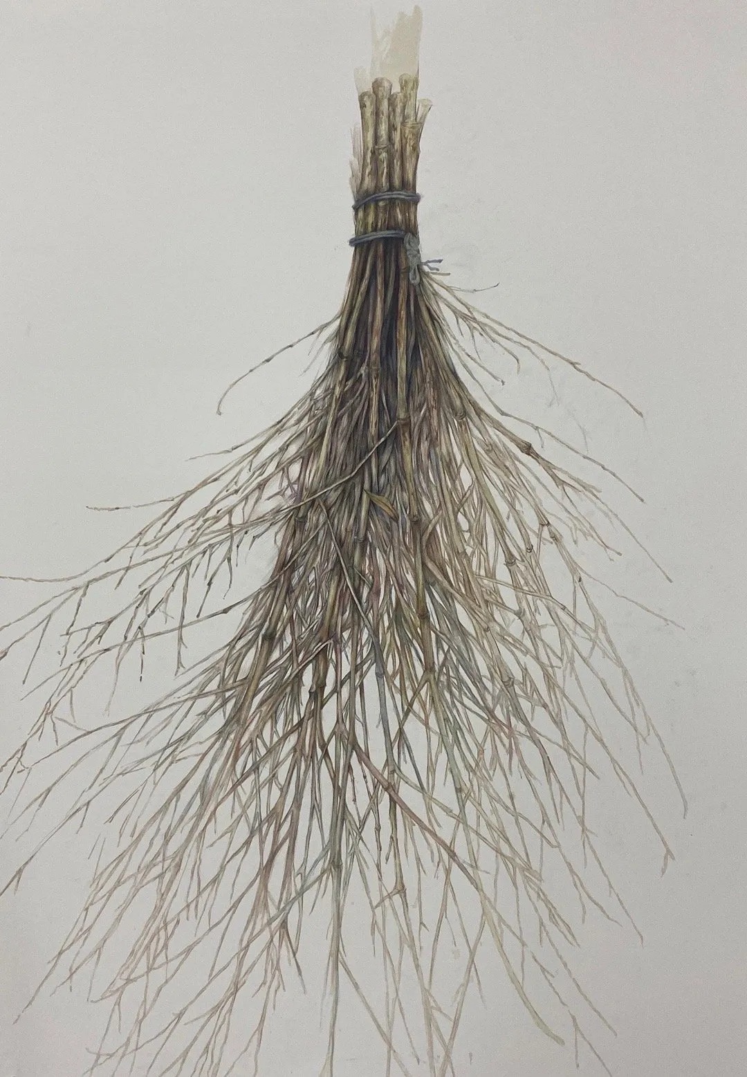 虚实&传说中素描的“虚实变化”,应该就是这样的!