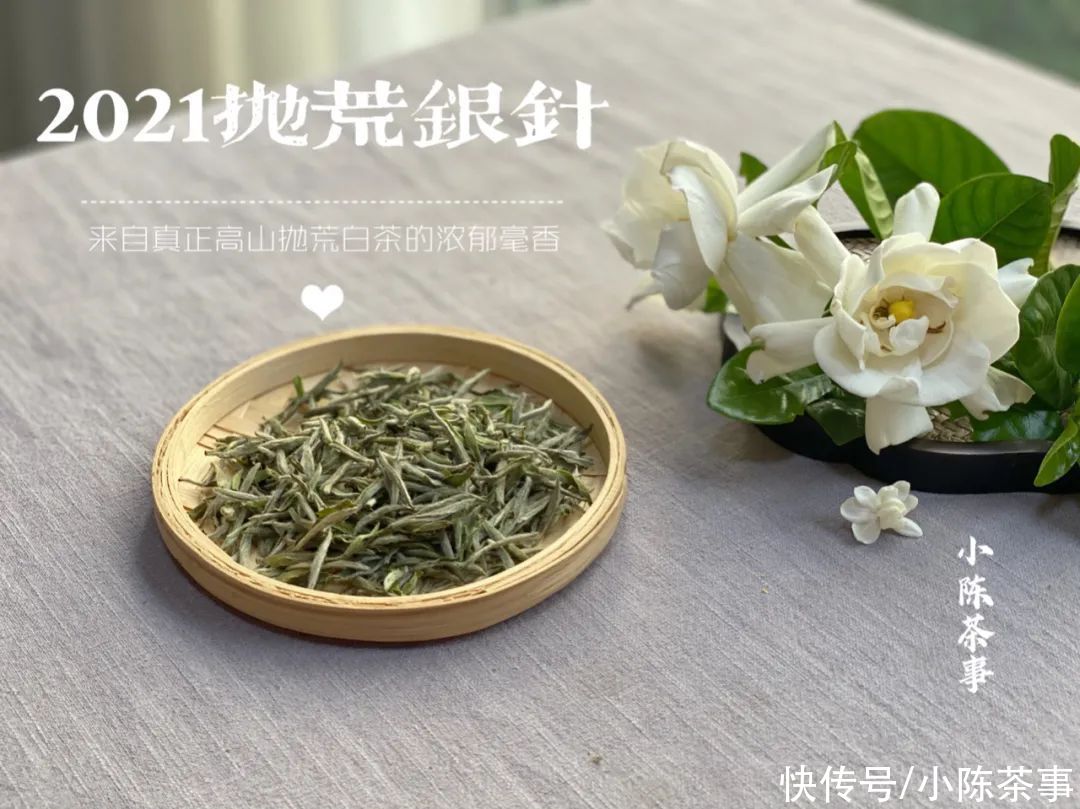 茶叶|白毫银针加桂花，是锦上添花，还是画蛇添足？老茶友都不这么做