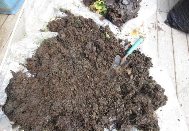 空隙|养花土不用买,3种“垃圾”掺一掺,就是营养土肥沃流油,养花棒