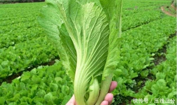 葡萄干|老中医提醒:这5种食物,都是“提高免疫力”的顶级高手!