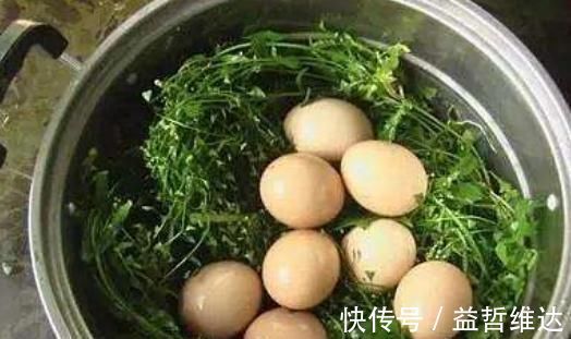 卵磷酯|鸡蛋和此物一起煮,睡眠好了,双眼明亮,视力好了,男女不可错过