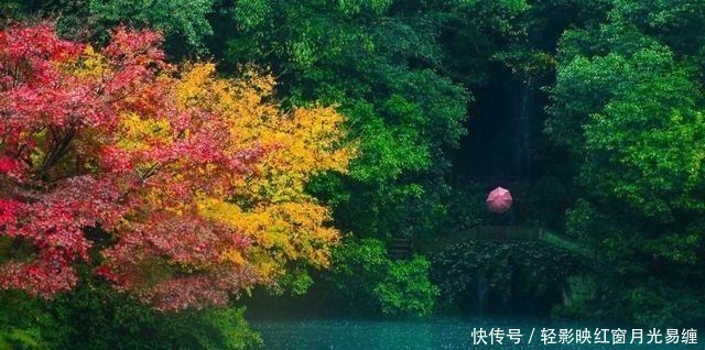 潇潇|这首宋词冷僻而惊艳,寥寥数语,写尽世间最刻骨的相思,一眼入心