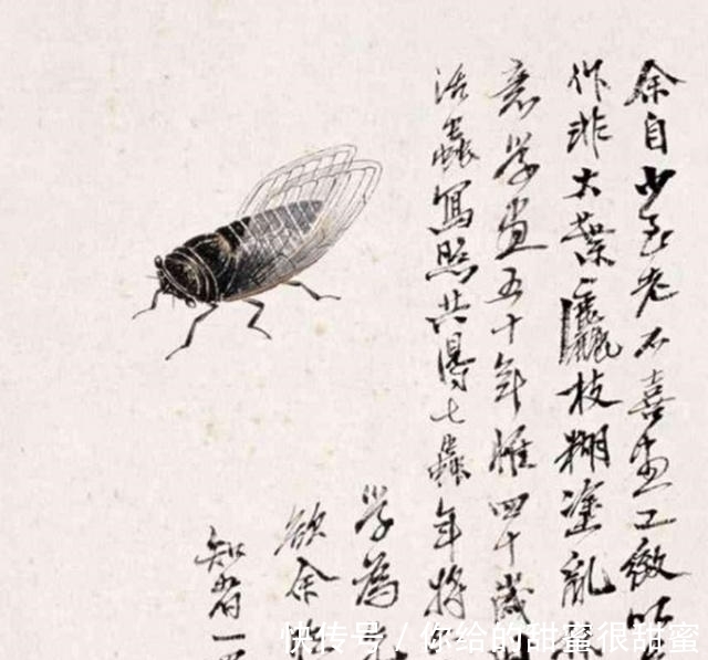放大30倍$齐白石笔下的“蝉”为啥价值8亿?专家:放大30倍,你就知道了