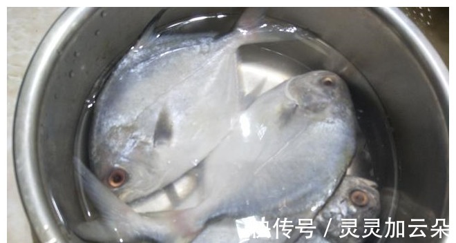 生姜汁|煎鱼时,容易粘锅掉皮,教你详细做法,鱼皮不掉还入味!