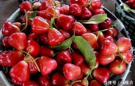 大街小巷|一年结果好几次,亩产万斤,南方大街小巷都在卖北方却见不到