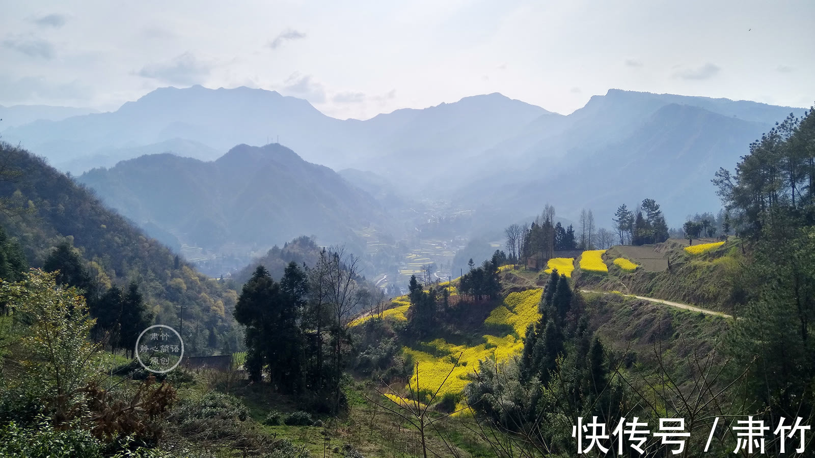 雾蒙|秋雨中，怀念山中放牛的岁月