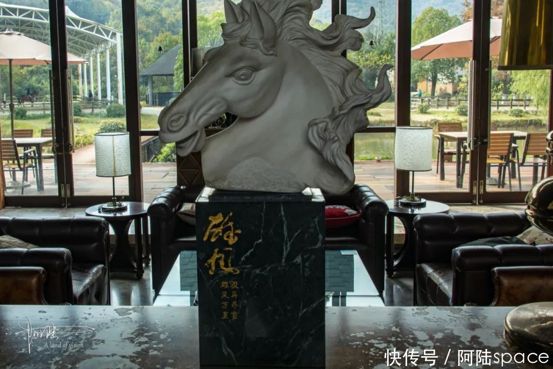 骑马|想体验骑马不一定要去内蒙古,在嘉兴南北湖就可以圆这个梦