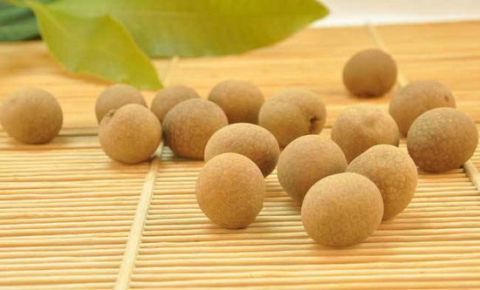 大枣|女生补血最佳食物,没有你常吃的大枣