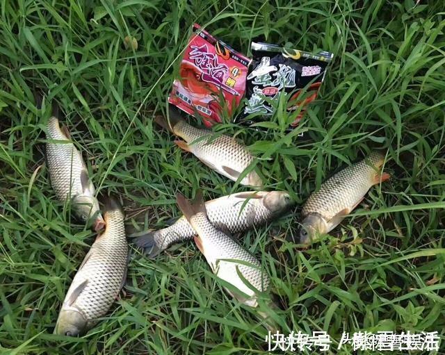 这项运动|如果你钓鱼是为了修身养性，建议你换一种运动，钓鱼真的不合适