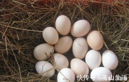 牛奶|补钙是鸡蛋的14倍,是牛奶的7.5倍,夏天记得多吃,孩子长得快!