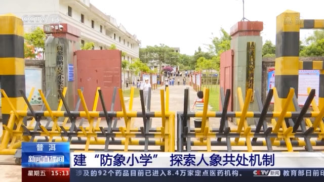 大象|大象闯入校园怎么办？ 普洱建“防象小学” 探索人象和谐共处新机制