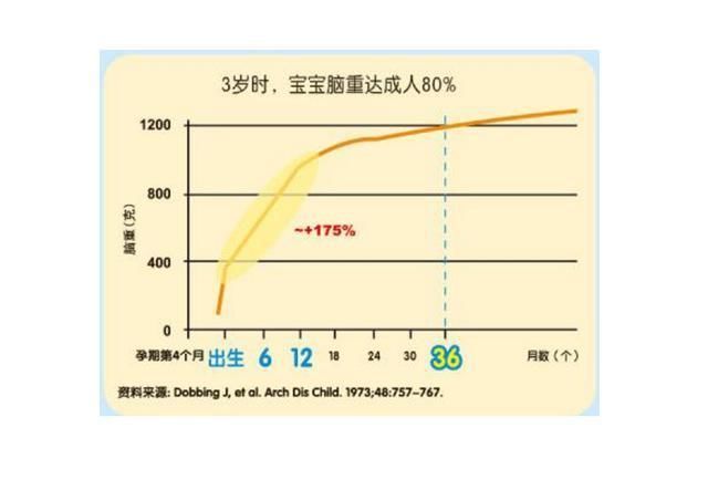 大脑功能|哈佛研究发现：孩子一生有三次“变聪明”的机会，家长要帮娃抓住