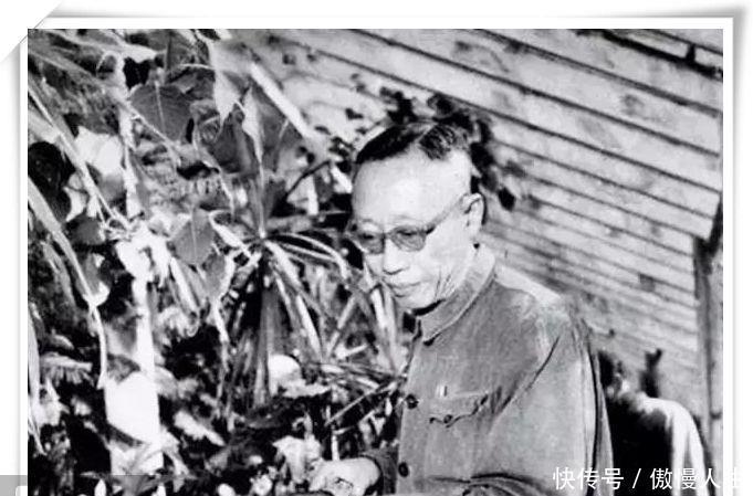 老照片|溥仪罕见的老照片，很多镜头都难得一见，也有他56岁的婚礼照片