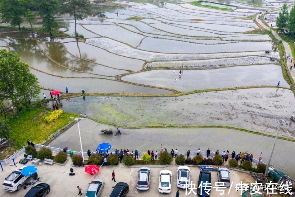 来旌德，深呼吸——写在旌德县荣膺“中国天然氧吧”称号之际