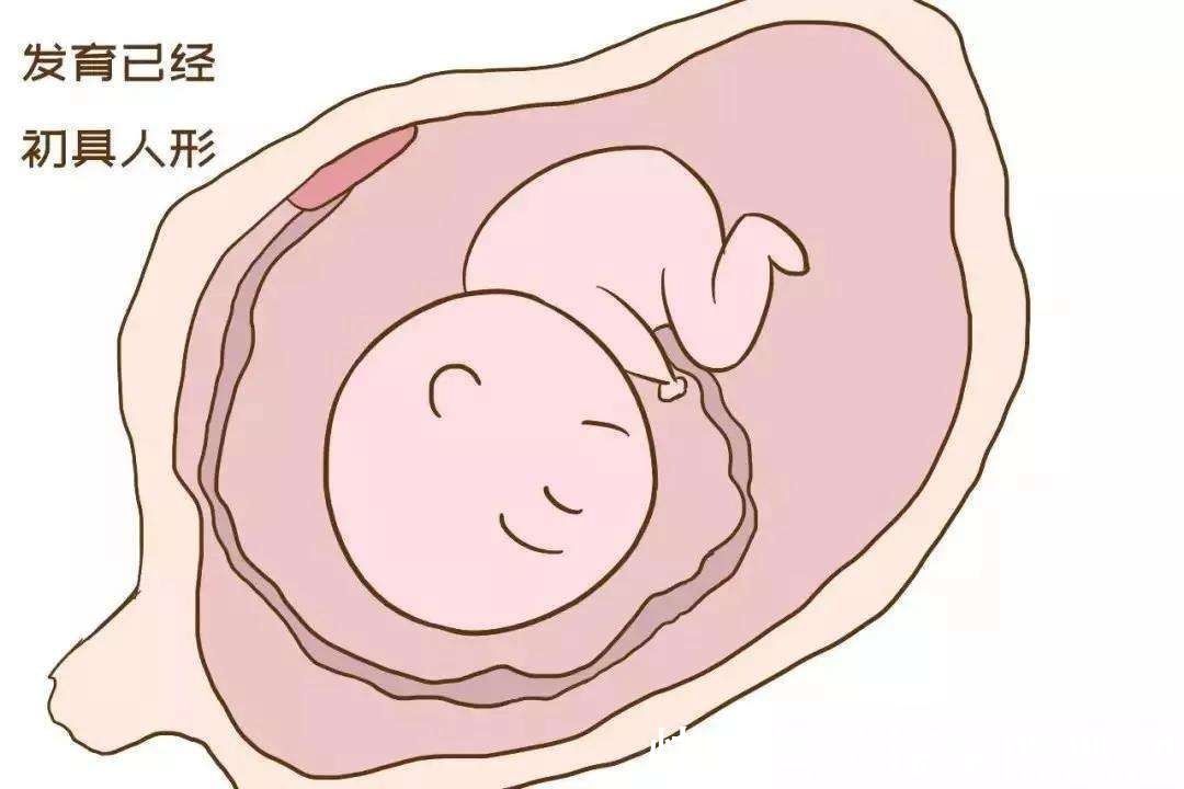 小天使|胎儿智力发育高不高,从孕妈身体3个反应可得知,快学起来!