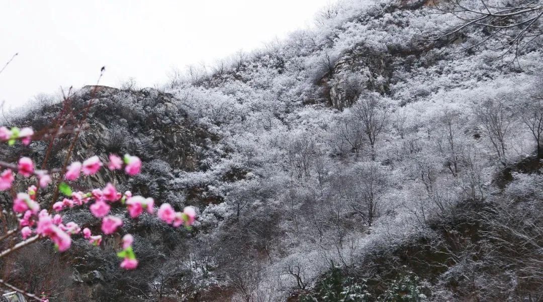 【大美房山】赏！大安山春雪水墨画