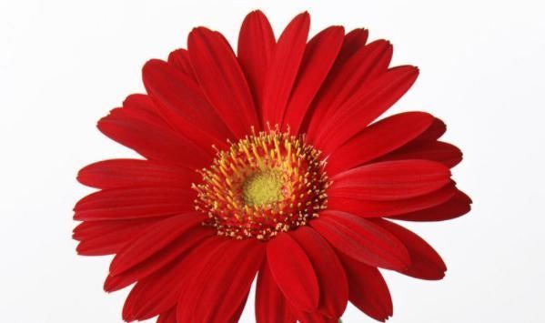 闲话|俗话说:病从口入祸从口出,尤其是这4句话,说了祸事不断!