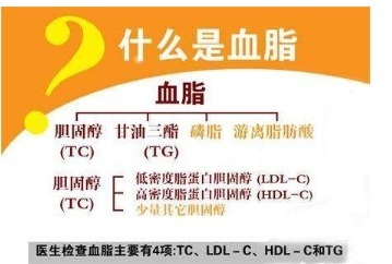 箭头|医生一步一步教您看血脂化验单，并不是有箭头就不正常！