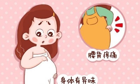 信号|胎儿发育得好不好?看孕妈身体有没有这4个信号,中了就恭喜了!