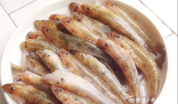 这种入侵鱼,虽然长得不咋地,但肉质鲜嫩,一斤都被炒到200多元