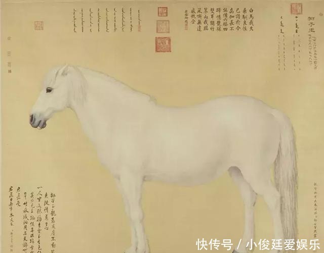 古代|汗血宝马:中国古代最顶级的战马,千米行程只需66秒